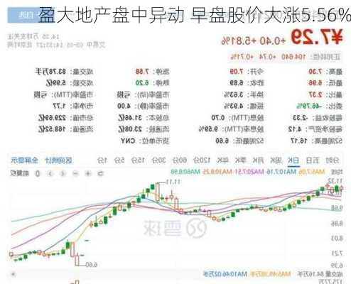 盈大地产盘中异动 早盘股价大涨5.56%