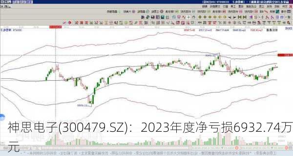 神思电子(300479.SZ)：2023年度净亏损6932.74万元