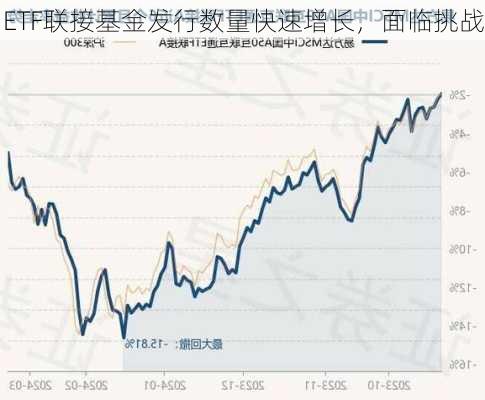 ETF联接基金发行数量快速增长，面临挑战