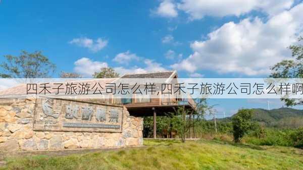 四禾子旅游公司怎么样,四禾子旅游公司怎么样啊