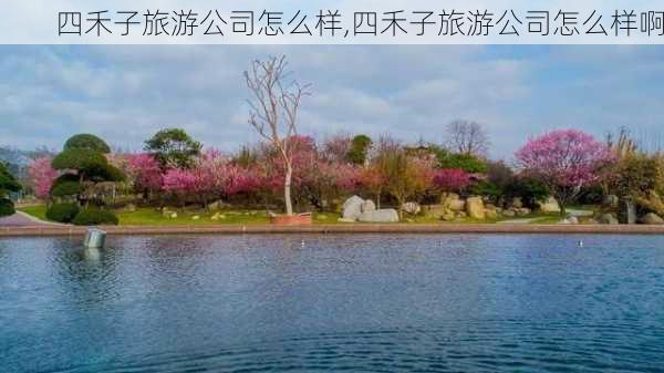 四禾子旅游公司怎么样,四禾子旅游公司怎么样啊