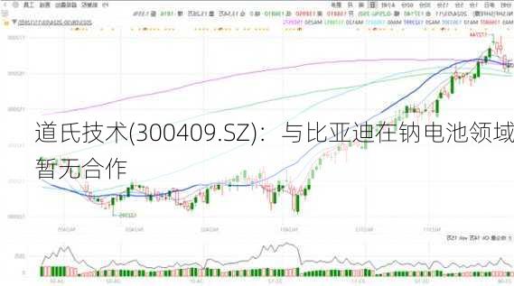 道氏技术(300409.SZ)：与比亚迪在钠电池领域暂无合作