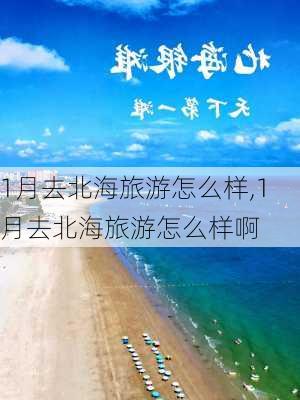 1月去北海旅游怎么样,1月去北海旅游怎么样啊