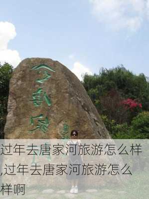 过年去唐家河旅游怎么样,过年去唐家河旅游怎么样啊