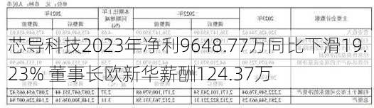 芯导科技2023年净利9648.77万同比下滑19.23% 董事长欧新华薪酬124.37万