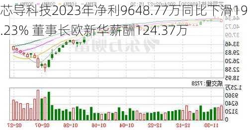 芯导科技2023年净利9648.77万同比下滑19.23% 董事长欧新华薪酬124.37万