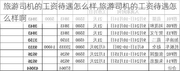 旅游司机的工资待遇怎么样,旅游司机的工资待遇怎么样啊