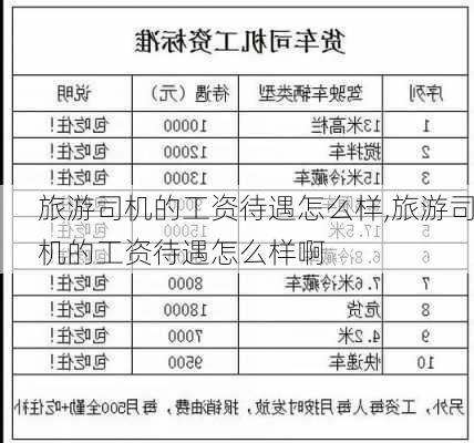 旅游司机的工资待遇怎么样,旅游司机的工资待遇怎么样啊