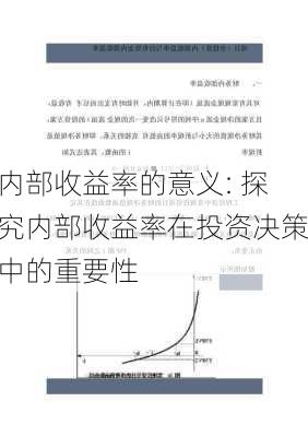 内部收益率的意义: 探究内部收益率在投资决策中的重要性