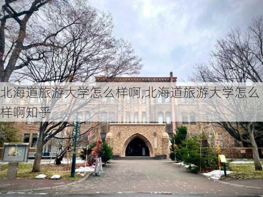 北海道旅游大学怎么样啊,北海道旅游大学怎么样啊知乎