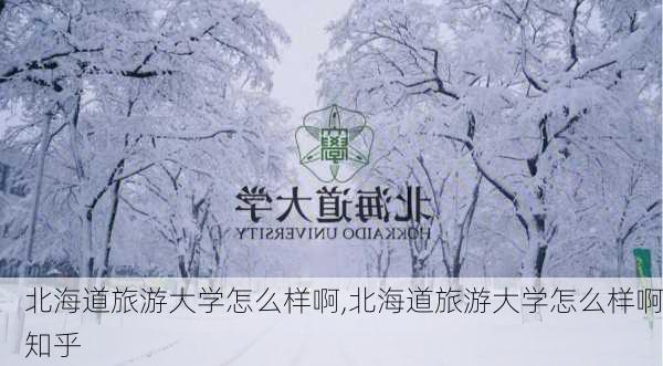 北海道旅游大学怎么样啊,北海道旅游大学怎么样啊知乎