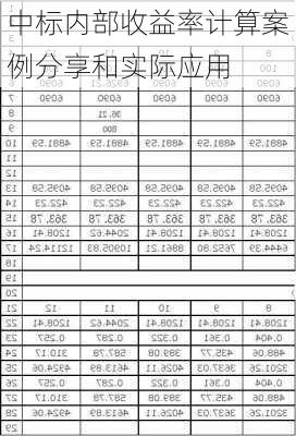 中标内部收益率计算案例分享和实际应用