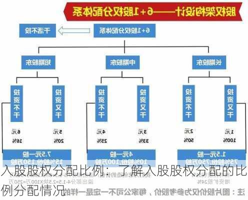 入股股权分配比例：了解入股股权分配的比例分配情况