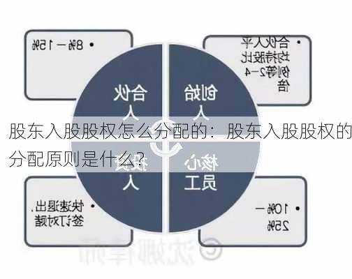 股东入股股权怎么分配的：股东入股股权的分配原则是什么？