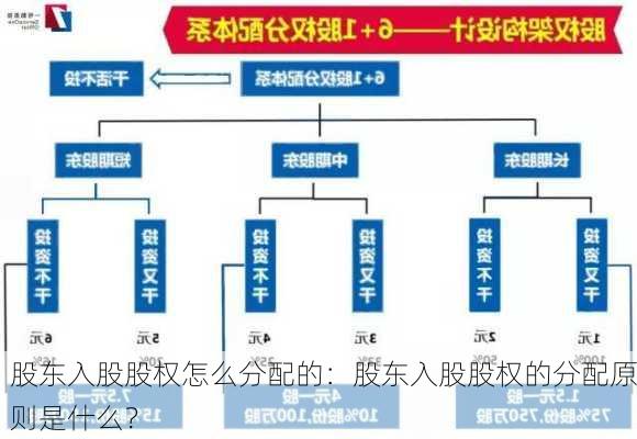 股东入股股权怎么分配的：股东入股股权的分配原则是什么？