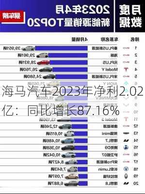 海马汽车2023年净利2.02亿：同比增长87.16%