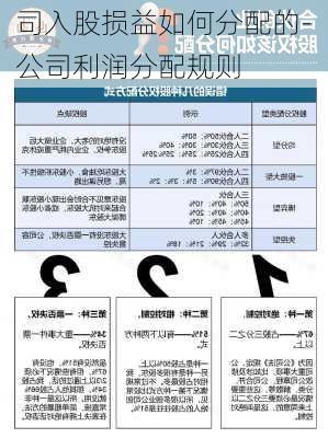 司入股损益如何分配的-公司利润分配规则