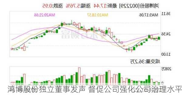 鸿博股份独立董事发声 督促公司强化公司治理水平