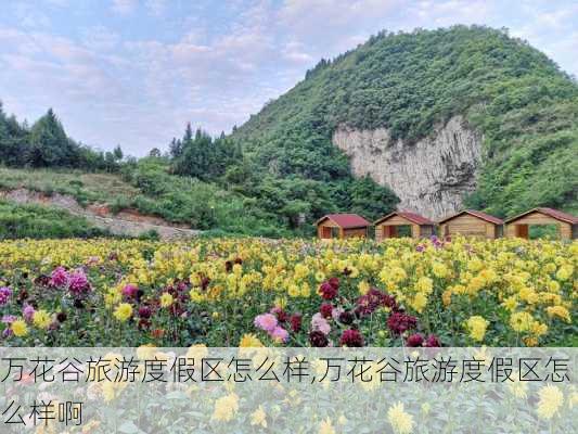 万花谷旅游度假区怎么样,万花谷旅游度假区怎么样啊