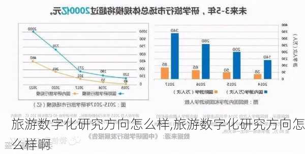 旅游数字化研究方向怎么样,旅游数字化研究方向怎么样啊