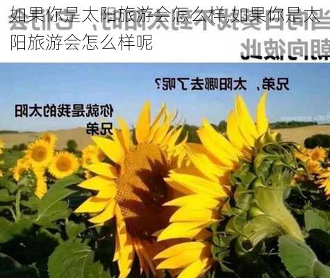 如果你是太阳旅游会怎么样,如果你是太阳旅游会怎么样呢