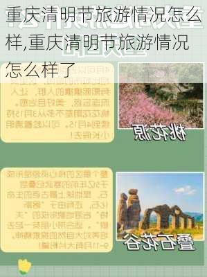 重庆清明节旅游情况怎么样,重庆清明节旅游情况怎么样了