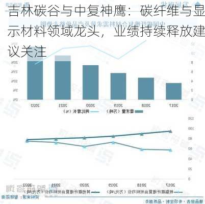 吉林碳谷与中复神鹰：碳纤维与显示材料领域龙头，业绩持续释放建议关注