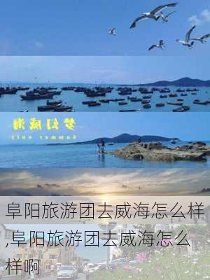 阜阳旅游团去威海怎么样,阜阳旅游团去威海怎么样啊