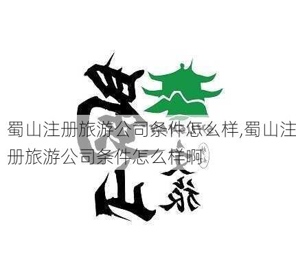 蜀山注册旅游公司条件怎么样,蜀山注册旅游公司条件怎么样啊