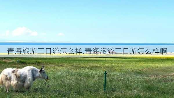 青海旅游三日游怎么样,青海旅游三日游怎么样啊