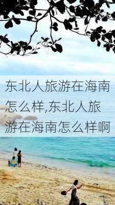 东北人旅游在海南怎么样,东北人旅游在海南怎么样啊