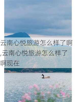 云南心悦旅游怎么样了啊,云南心悦旅游怎么样了啊现在