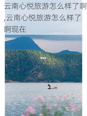 云南心悦旅游怎么样了啊,云南心悦旅游怎么样了啊现在