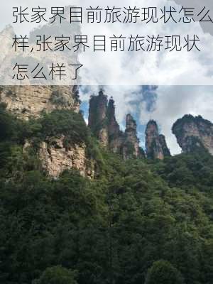 张家界目前旅游现状怎么样,张家界目前旅游现状怎么样了