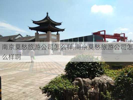 南京莫愁旅游公司怎么样,南京莫愁旅游公司怎么样啊