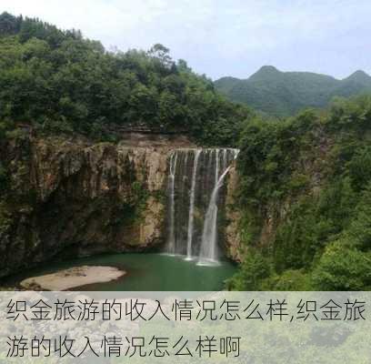 织金旅游的收入情况怎么样,织金旅游的收入情况怎么样啊