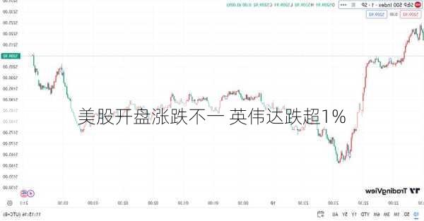 美股开盘涨跌不一 英伟达跌超1%