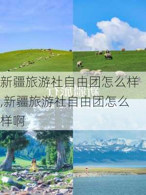 新疆旅游社自由团怎么样,新疆旅游社自由团怎么样啊