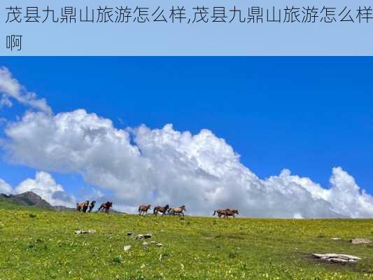 茂县九鼎山旅游怎么样,茂县九鼎山旅游怎么样啊