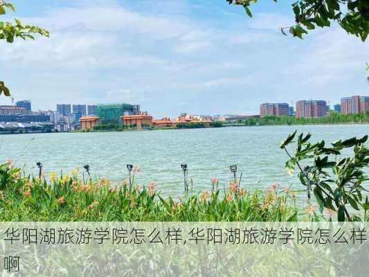 华阳湖旅游学院怎么样,华阳湖旅游学院怎么样啊