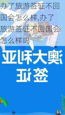 办了旅游签证不回国会怎么样,办了旅游签证不回国会怎么样吗