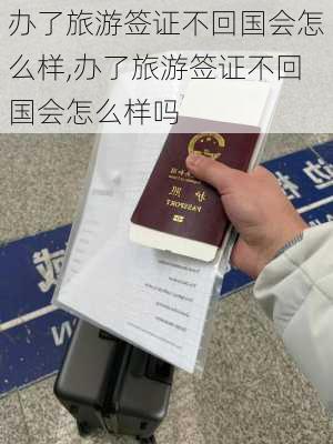 办了旅游签证不回国会怎么样,办了旅游签证不回国会怎么样吗