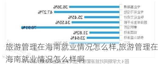 旅游管理在海南就业情况怎么样,旅游管理在海南就业情况怎么样啊