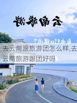 去云南跟旅游团怎么样,去云南旅游跟团好吗