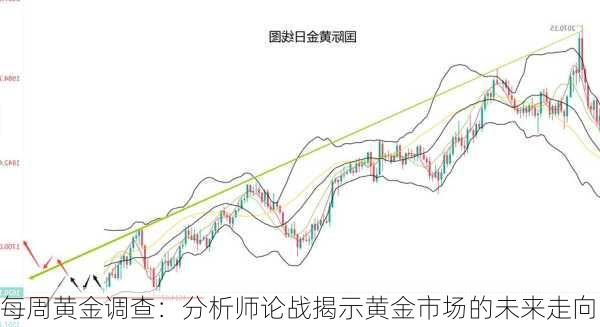 每周黄金调查：分析师论战揭示黄金市场的未来走向