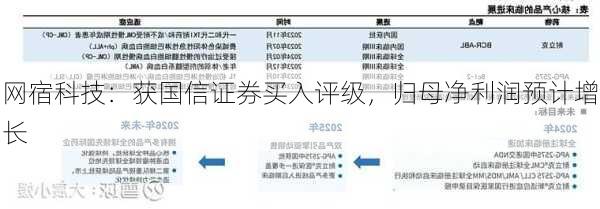 网宿科技：获国信证券买入评级，归母净利润预计增长