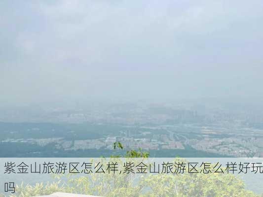 紫金山旅游区怎么样,紫金山旅游区怎么样好玩吗