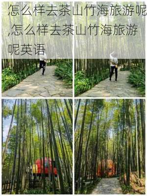 怎么样去茶山竹海旅游呢,怎么样去茶山竹海旅游呢英语