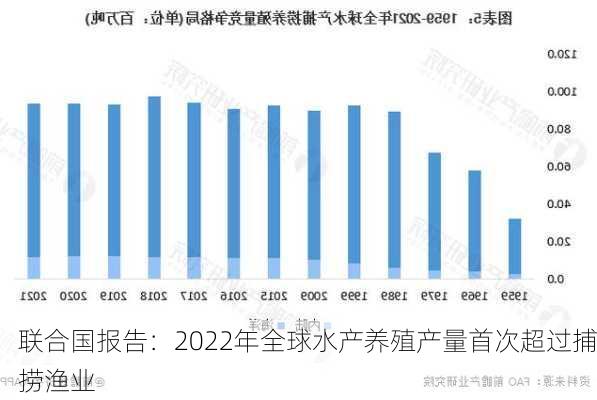 联合国报告：2022年全球水产养殖产量首次超过捕捞渔业