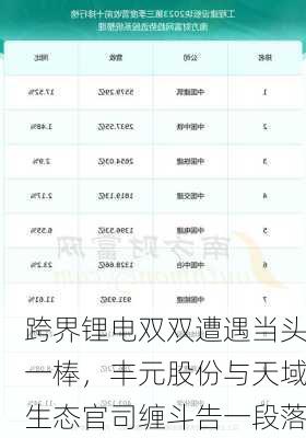 跨界锂电双双遭遇当头一棒，丰元股份与天域生态官司缠斗告一段落